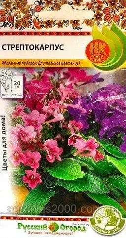 

Семена Стрептокарпус смесь 6 семян Русский Огород, Разные цвета