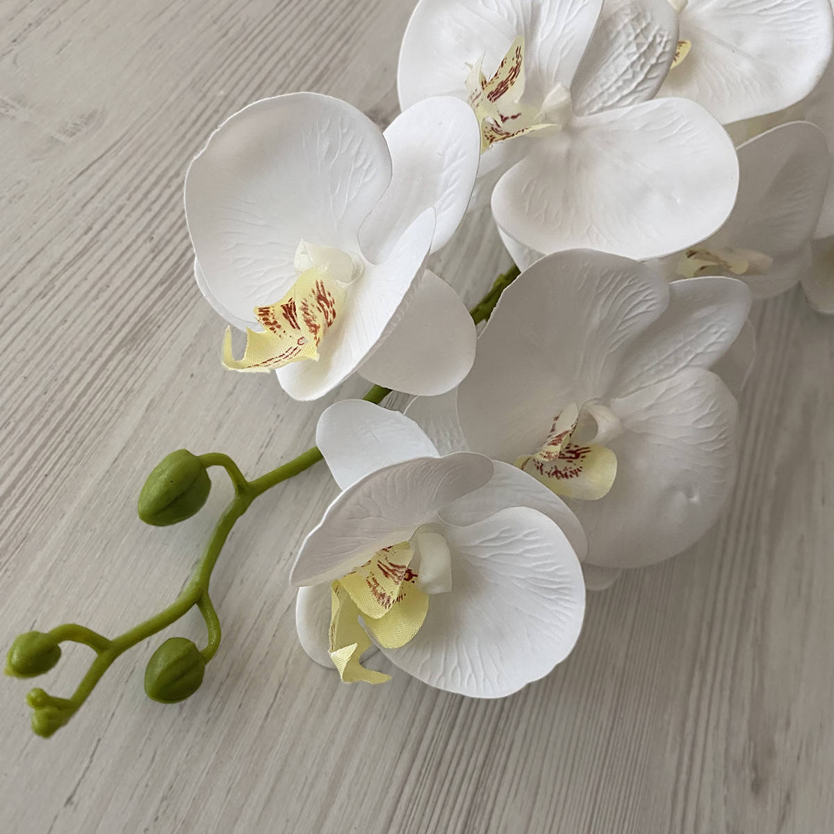 

Искусственная орхидея фаленопсис из 9 соцветий белая VF 050, Белый