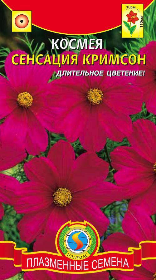 

Космея Сенсация Кримсон 45 шт (Плазменные семена)