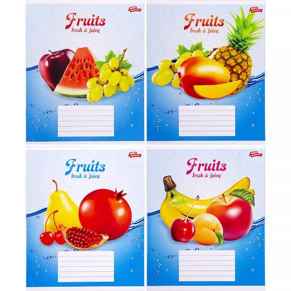 

Тетрадь школьная Мрії Збуваються 24л в линию арт. 3027