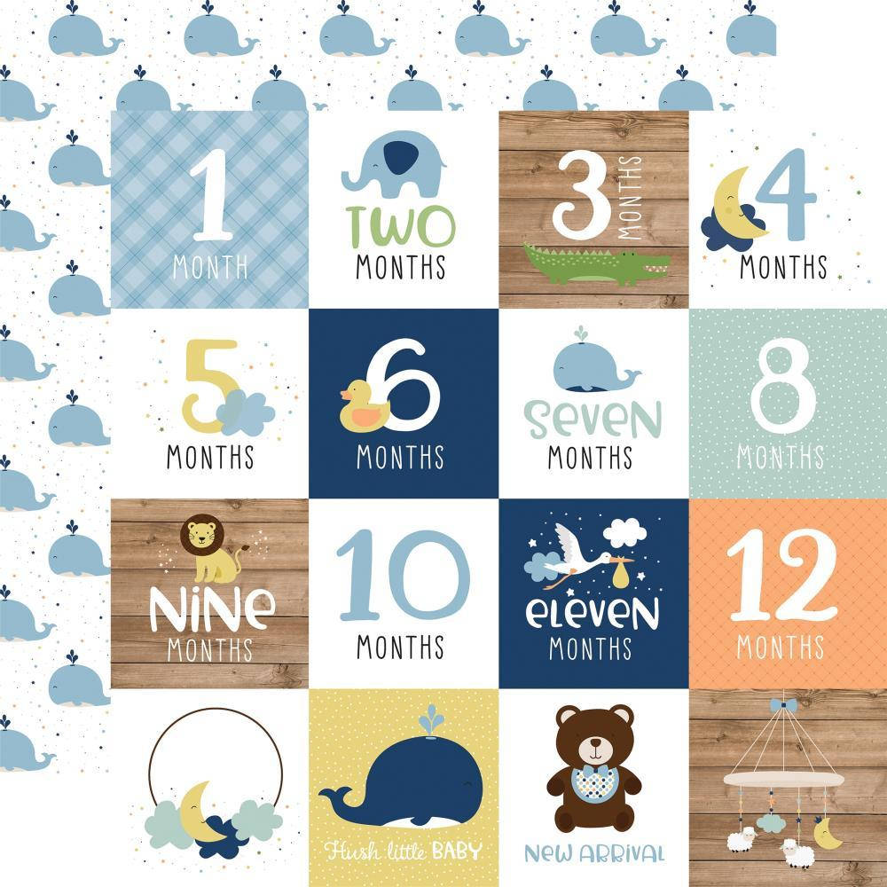 

Папір двосторонній - Milestone Cards - Baby Boy - Echo Park - 30х30