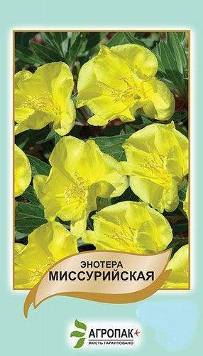 

Энотера миссурийская Желтая - 0,1 г А, Желтый