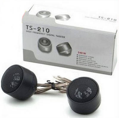 

Акустическая система Pioneer TS 210 240w твитеры (пищалки)