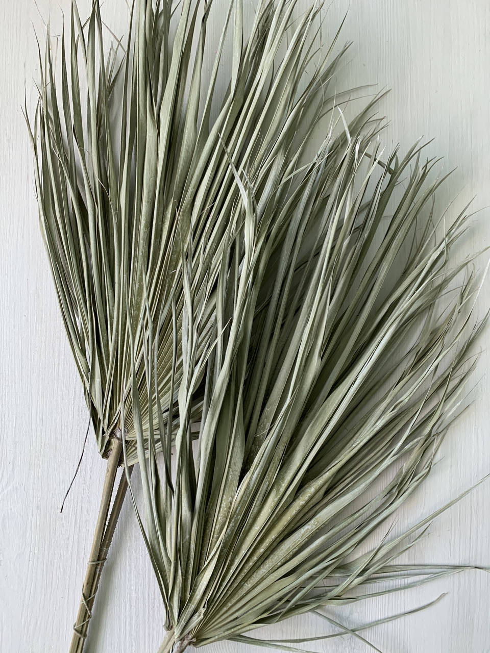 

Пальмовые листья светлая оливка ( 3 шт )