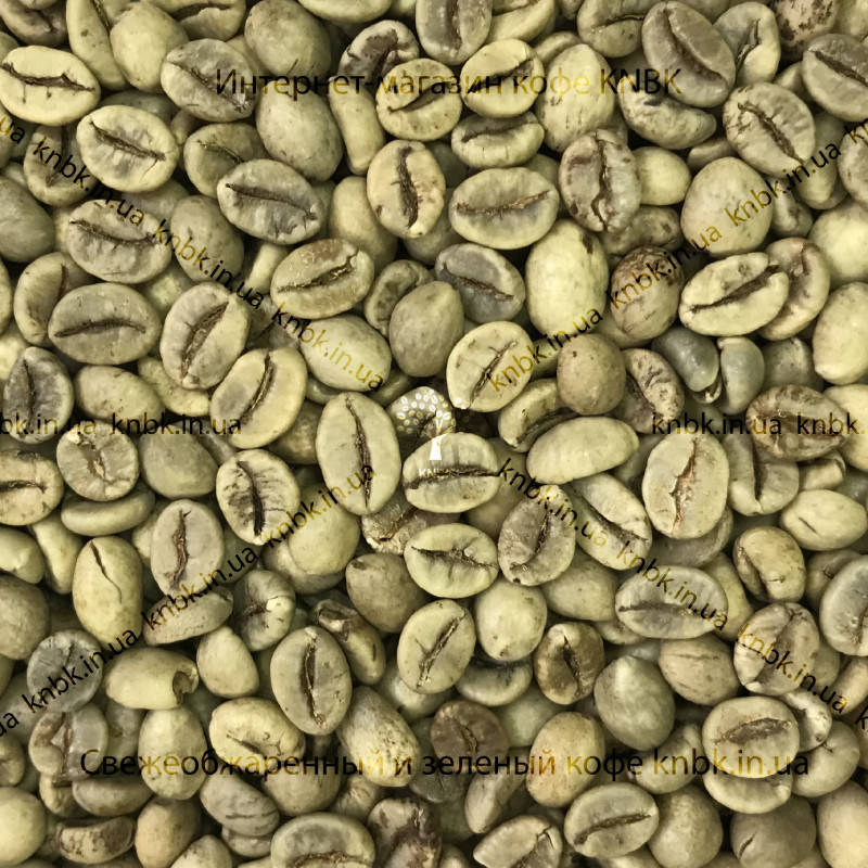

Робуста Вьетнам (Robusta Vietnam) 200г. ЗЕЛЕНЫЙ кофе