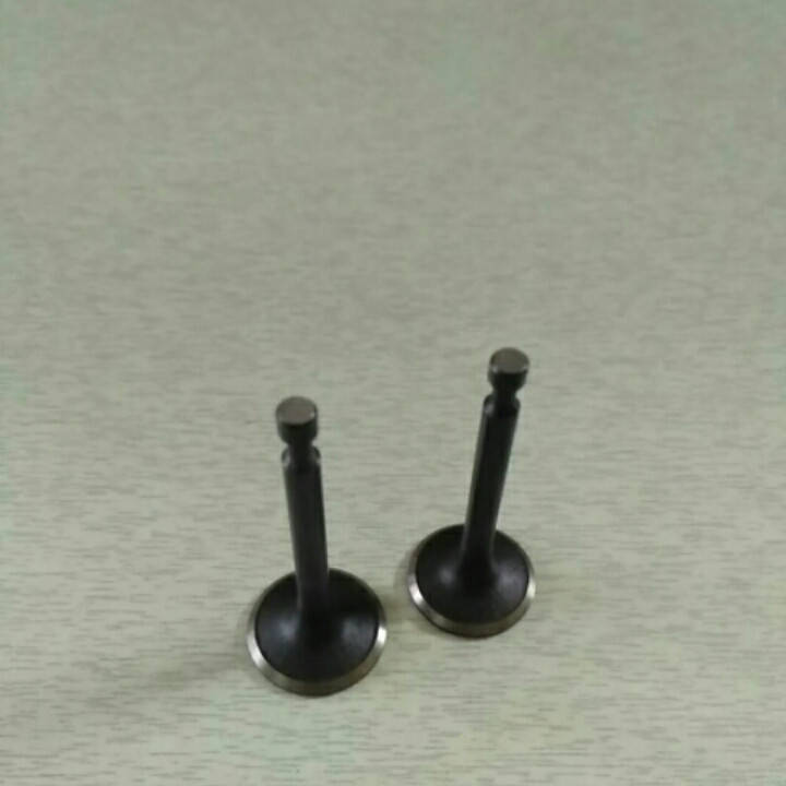 

Клапана впуск выпуск двигателя 168f/170f