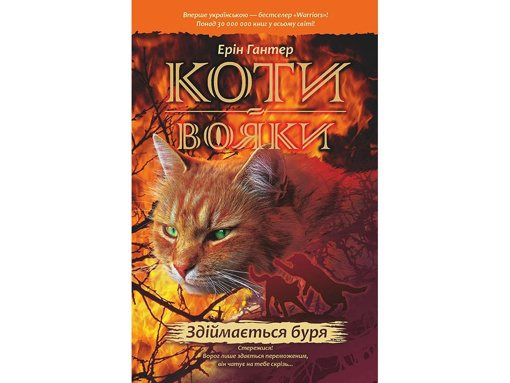 

Світовий бестселер Книга Коти-вояки Здіймається буря 4