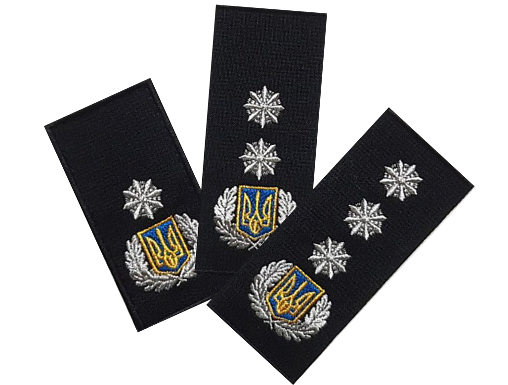 

Погоны "Генерал 3 ранга" Полиции, на липучке