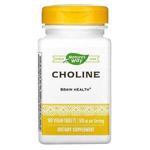 

Холин, Choline, Витамин В4, Nature's Way Natures Way, 500 мг, 100 веганских таблеток