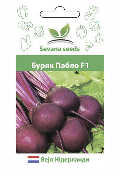 

Семена свеклы Пабло F1 200 шт. Bejo