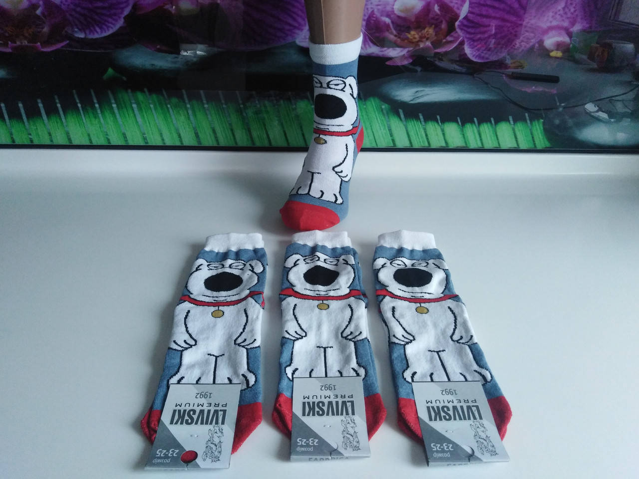 

Шкарпетки жіночі демісизонні модель Пес барбос