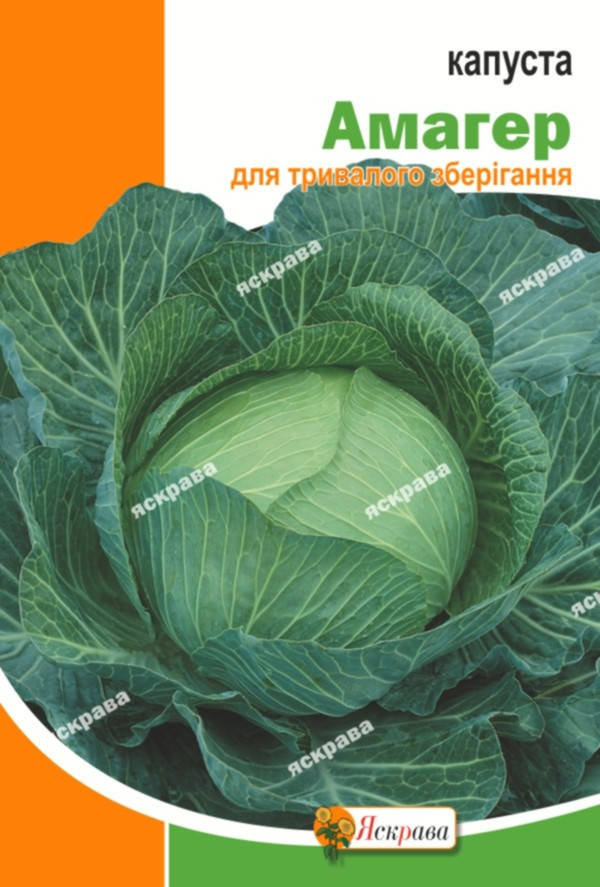 

Капуста белокочанная Амагер 10 г, семена Яскрава