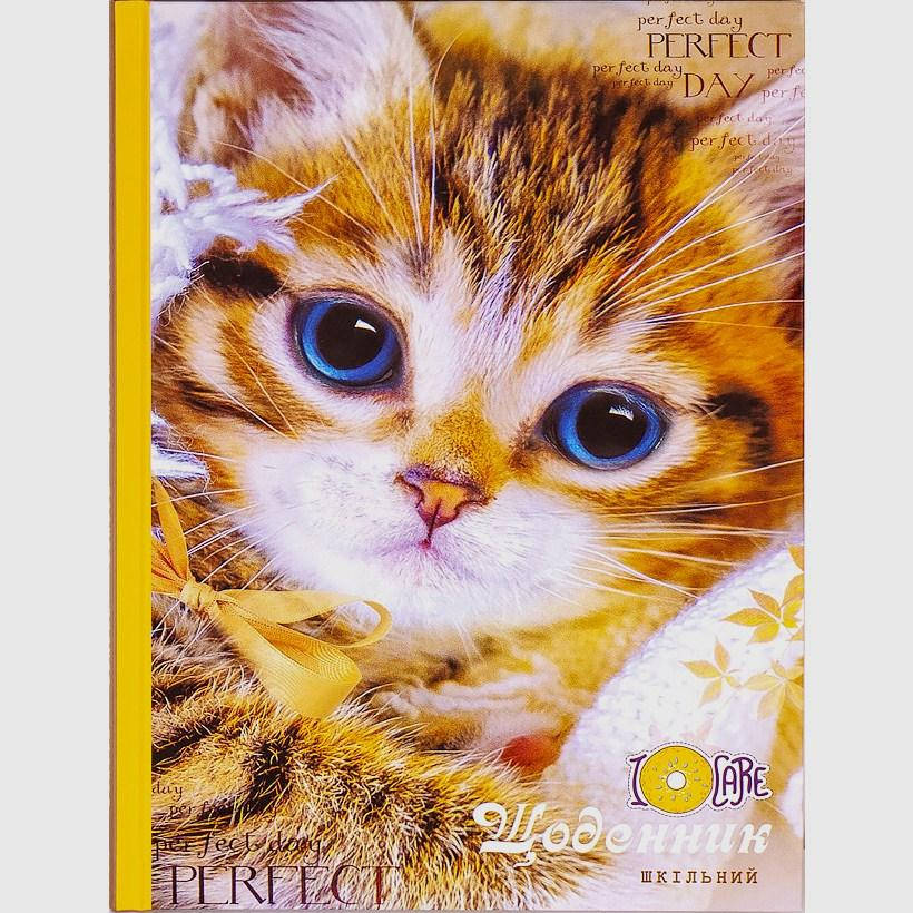 

Щоденник B5 / тв. обл. мат / Рыжий котик