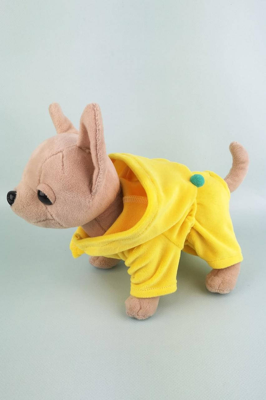 

Одежда для Чи Чи Лав - Костюм желтый велюровый