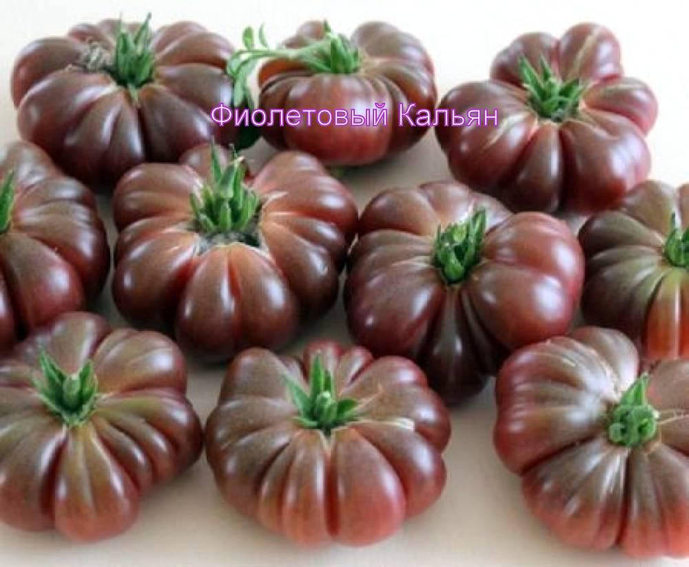 

Помидор " " (Фиолетовый кальян )