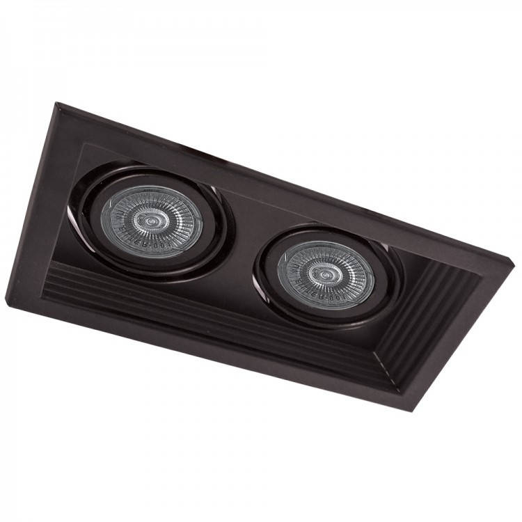 

Врезной поворотный светильник на 2 лампы Feron DLT202 (черный)