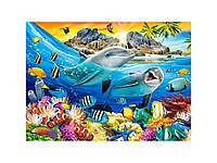 

Пазл В-018468, Дельфины в тропиках, 180эл., 32 x 23 см, упаковка 24.5 x 17.5 x 3.7 см