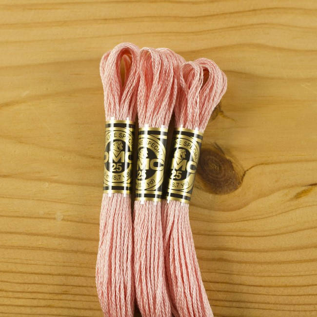 

Нитки мулине DMC 761 (Франция)