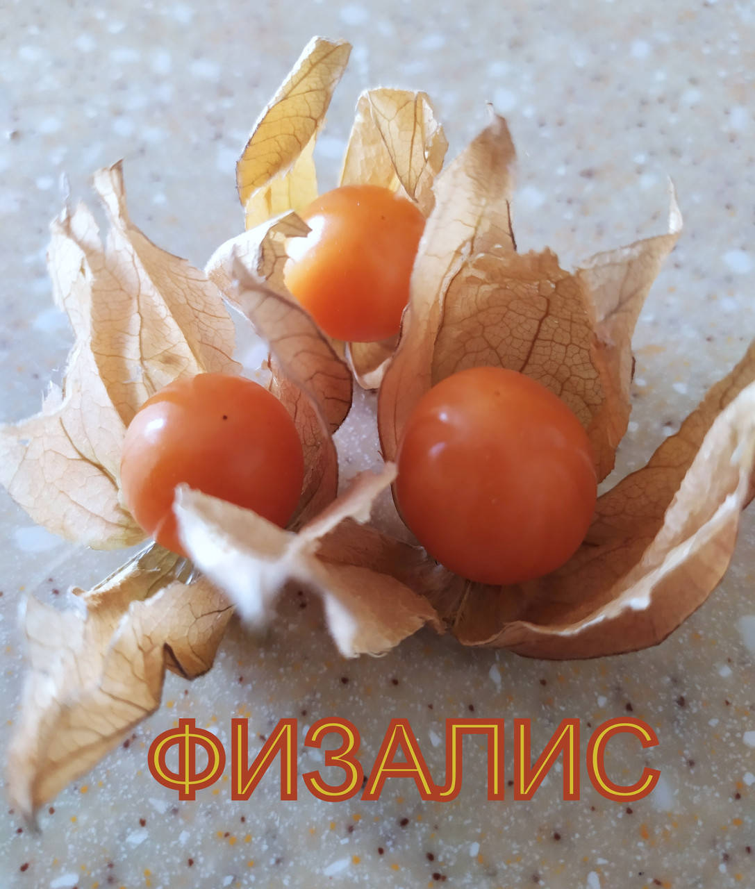 

Физалис Перуанский