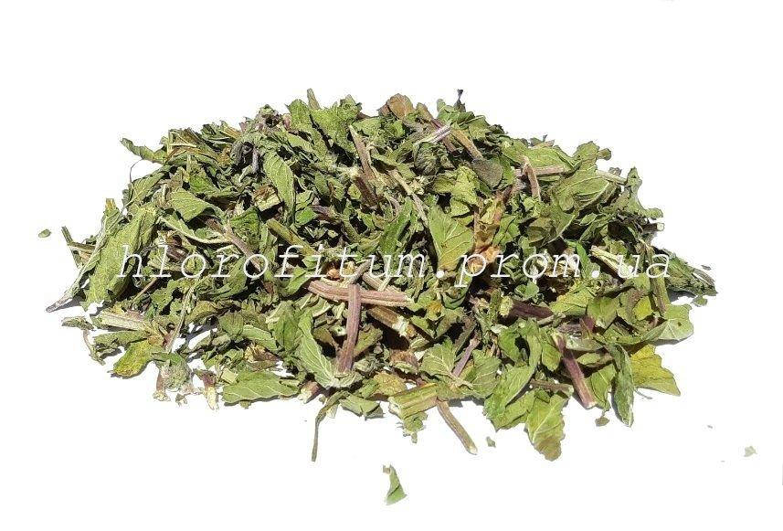 

Мята перечная трава 50грамм (Mentha piperita)