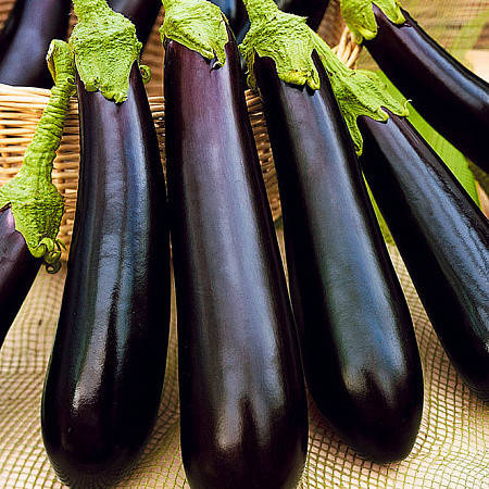 

Ирис(CRX 50144 F1) 10 шт семена баклажана Cora Seeds Италия