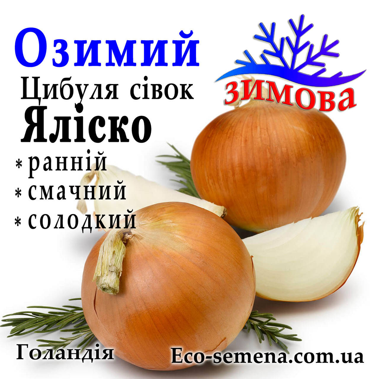 

Лук севок озимый Ялиско Голландия, 1 кг