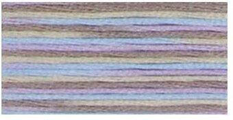 

Мулине DMC Coloris 4523 North Wind