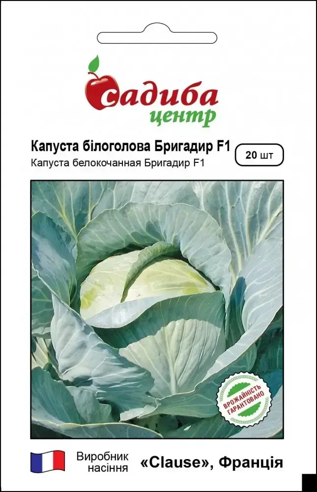 

Капуста Бригадир, 20шт