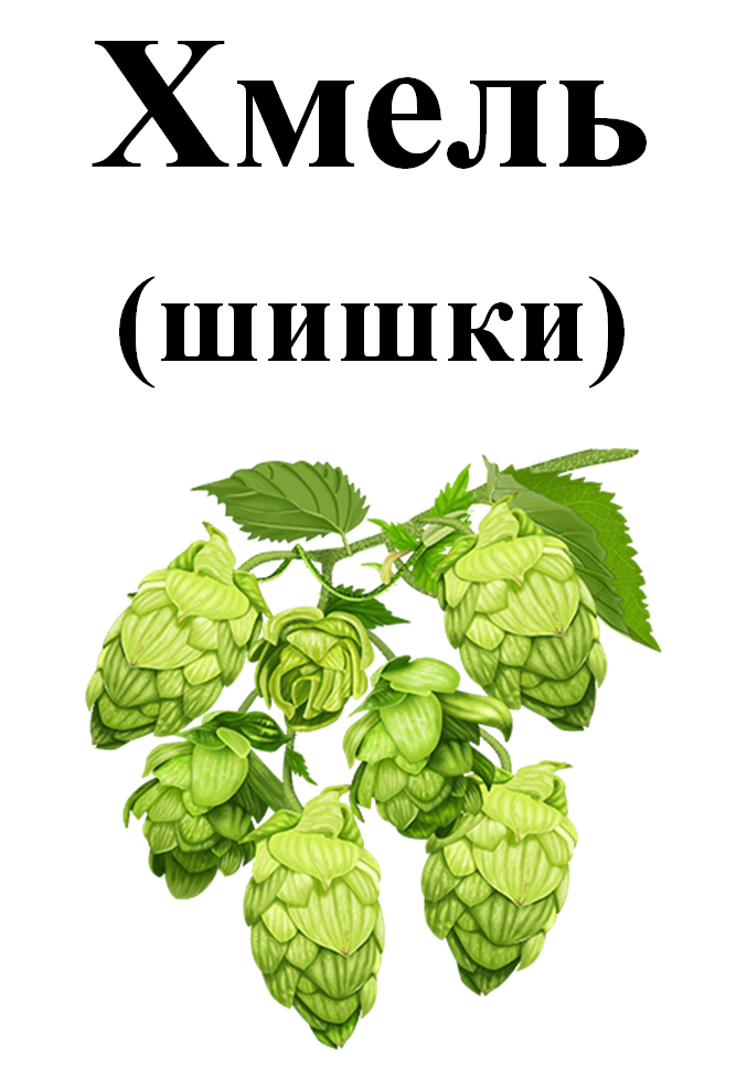 

Хмель обыкновенный (шишки), 25 грамм