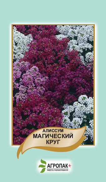 

Семена цветов Алиссум Магический круг 0,2 г. Агропак плюс, Разные цвета