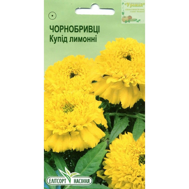 

Семена цветы Бархатцы Купид лимонные, 0,1 г