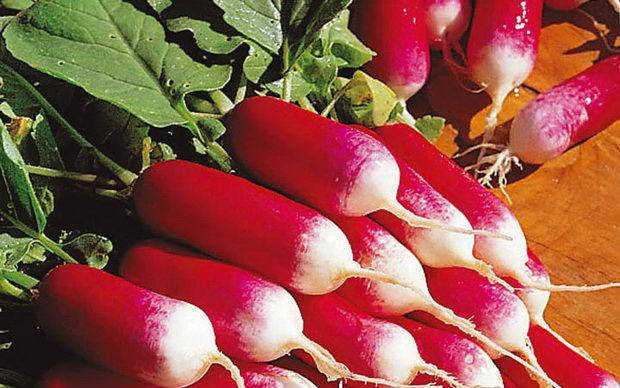 

Редис Французский завтрак 20 г