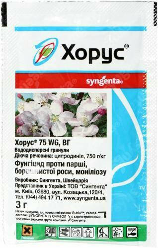 

Хорус