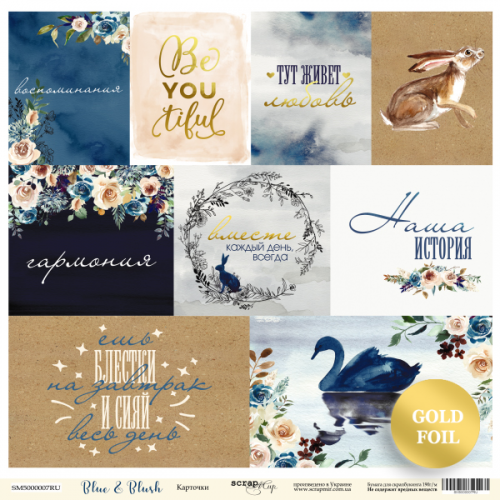 

Папір двосторонній - Карточки (RU) - Blue & Blush - Scrapmir - 30x30