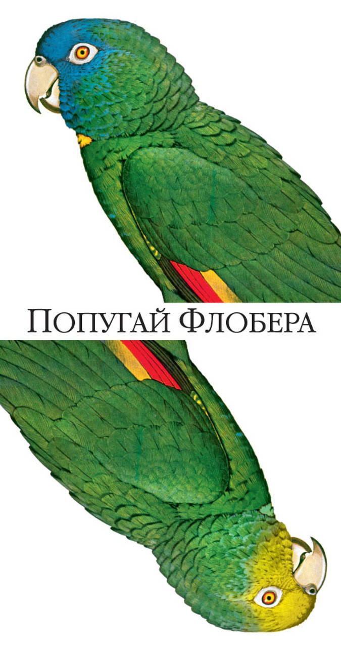 

Попугай Флобера. Джулиан Патрик Барнс