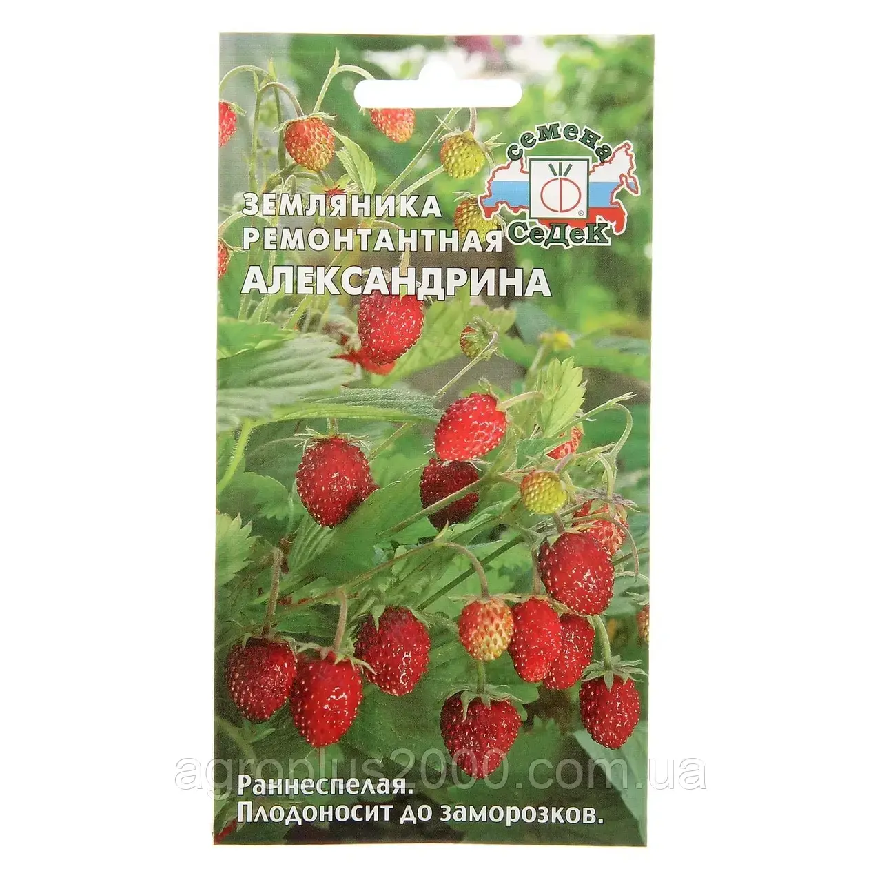 

Семена Земляника ремонтантная Александрина 0,04 грамма Седек