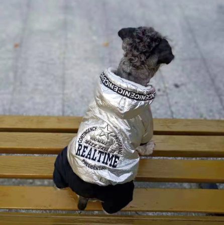 

Комбинезон, костюм зимний для собаки "SILVER". Одежда для собак L