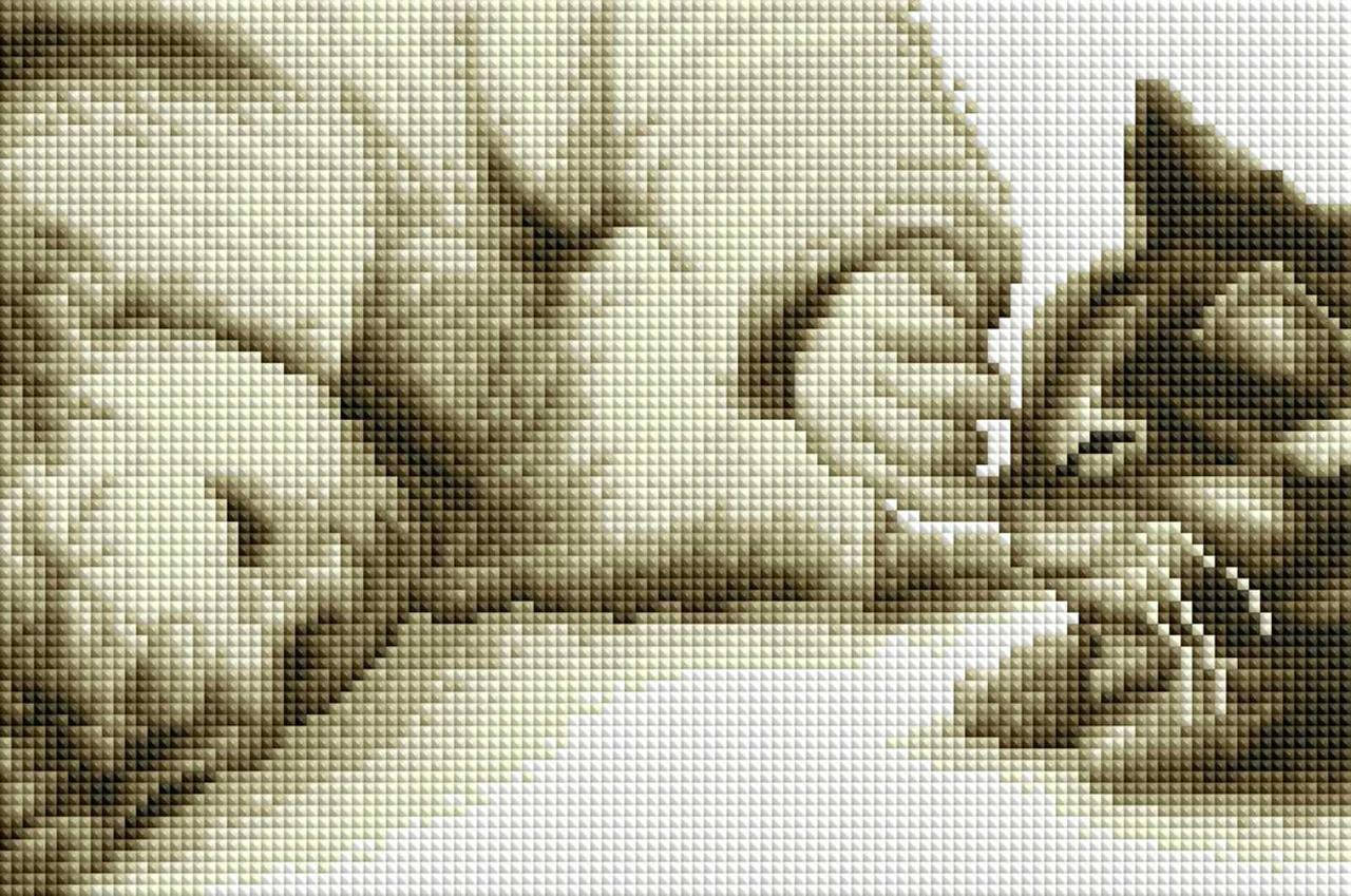 

Алмазная мозаика ColorArt 20х30 Мальчик и котик DT719