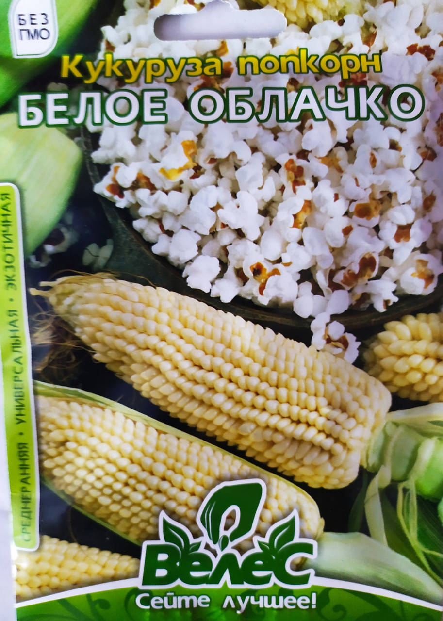 

Кукуруза попкорн Біла хмарка