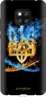 

Чехол на Huawei Mate 20 Pro Герб "1635u-1567-57593", Черный