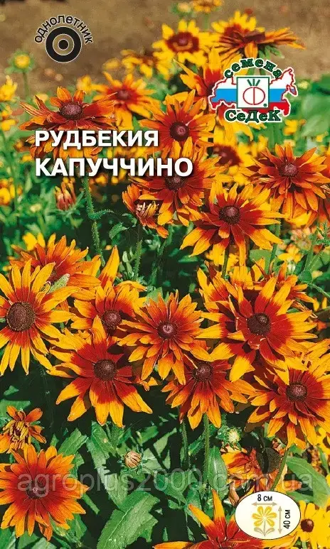 

Семена Рудбекия волосистая Капуччино 0,1 грамм Седек, Оранжевый