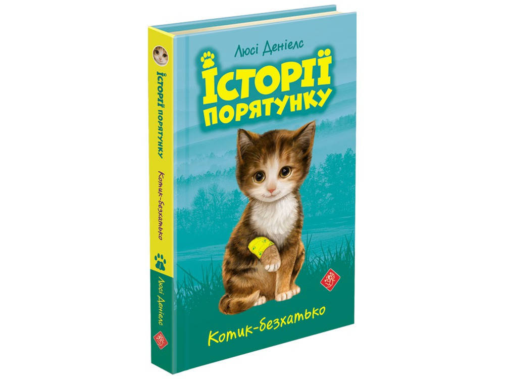 

Історії порятунку. Котик-безхатько.