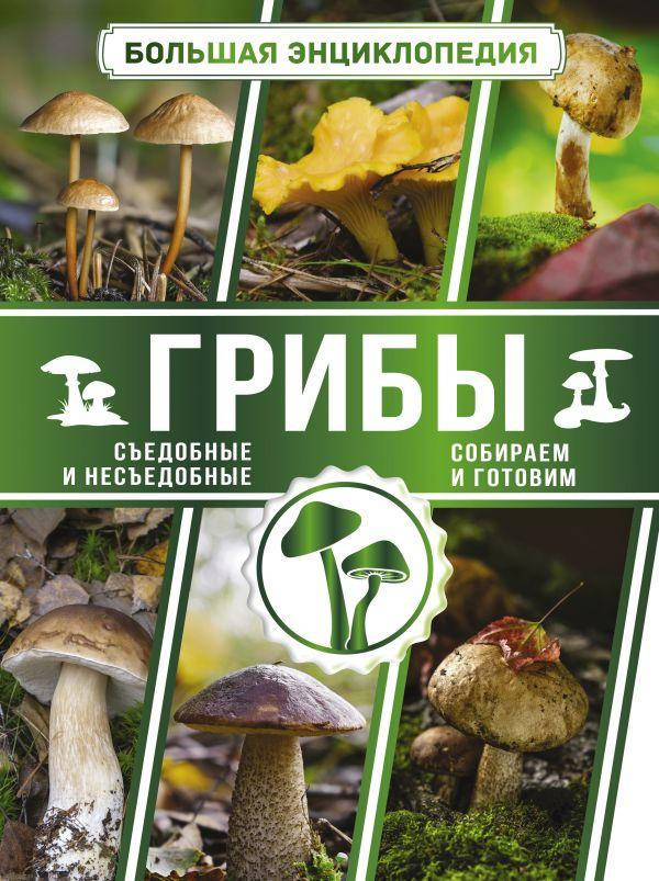 

Большая энциклопедия. Грибы. Съедобные и несъедобные. Собираем и готовим