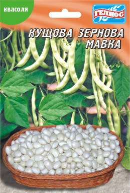 

Семена фасоли кустовой зерновой Мавка 20 г