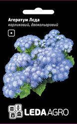 

Семена агератума Леда, 0,2 гр., двухцветный