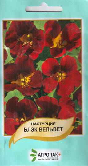 

Семена Настурция карликовая Блэк Вельвет 2 грамма Агропак, Красный