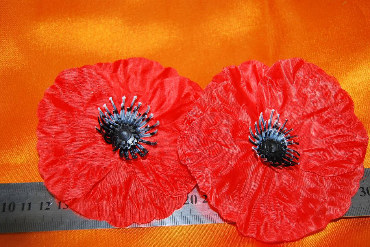 

Голова мака .Большая.