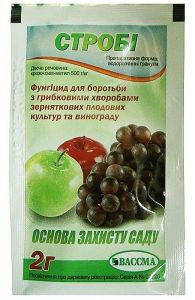

Строби 2 г