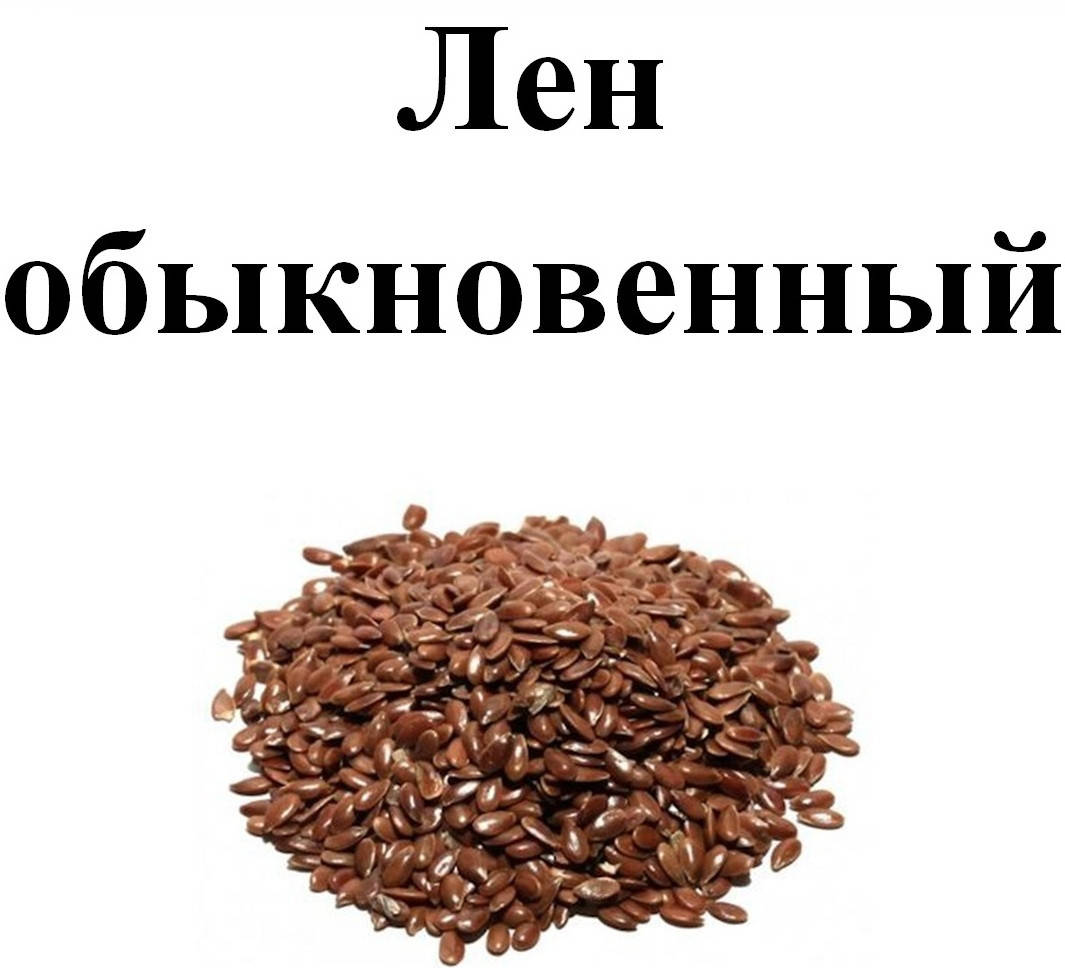 

Лен обыкновенный, 100 грамм