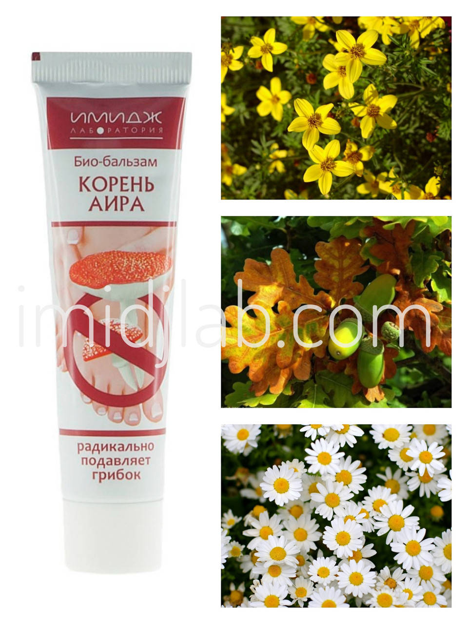 

Био-бальзам "Корень Аира" Официальный представитель "Имидж лаборатория"